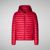 Men's Donald Hooded Puffer Jacket in Blue Berry | Save The Duck