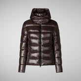 Women's Cosmary Hooded Puffer Jacket in Brown Black | Save The Duck