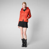 Woman's Alexis Hooded Puffer Jacket in Maple Orange | Save The Duck