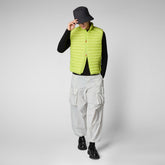 Gilet matelassé Adam pour homme en vert lichen | Save The Duck