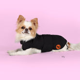 Dog Rex Coat in Black | Save The Duck