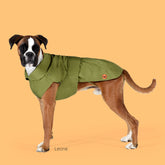 Dog Rex Coat in Cedar Green | Save The Duck