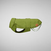 Dog Rex Coat in Cedar Green - All Save The Duck Products | Save The Duck