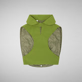 Dog Rex Coat in Cedar Green - Pets Collection | Save The Duck