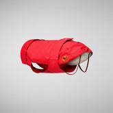 Dog Rex Coat in Sweet Red - Fall Winter 2022 | Save The Duck