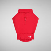 Dog Rex Coat in Sweet Red - All Save The Duck Products | Save The Duck