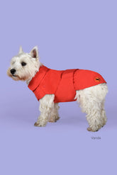 Dog Rex Coat in Sweet Red | Save The Duck