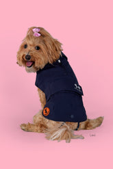 Dog Rex Coat in Navy Blue | Save The Duck