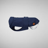 Dog Rex Coat in Navy Blue - Girls' Collection | Save The Duck