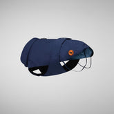 Dog Rex Coat in Navy Blue - All Save The Duck Products | Save The Duck