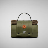 Unisex cover teddy Cozy in mud grey and dusty olive - Save the Duck x United Pets | Save The Duck