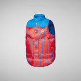 Unisex Kids' Lemur Puffer Vest in Stripe Red - Girls' Collection | Save The Duck