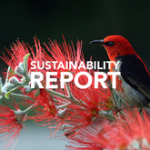 Sustainability Report | Save The Duck | Animal Free Elegant Duvets for Men and Women